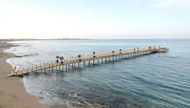 Barut Arum