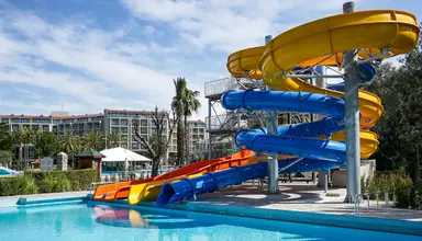 Barut Arum
