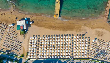 Barut Arum