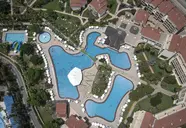 Barut Arum
