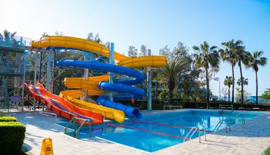 Barut Arum