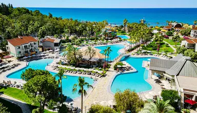 Barut Arum