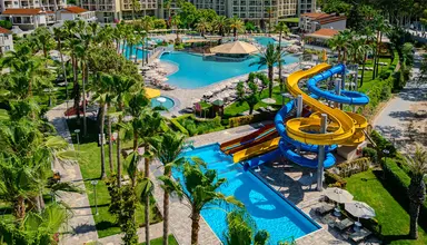 Barut Arum