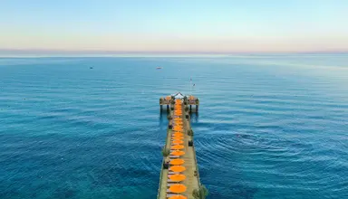 Barut Arum