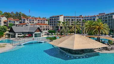 Barut Arum