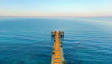 Barut Arum