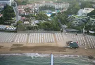 Barut Arum