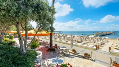 Barut Arum