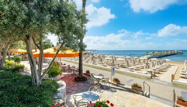 Barut Arum
