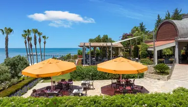Barut Arum