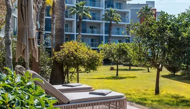 Barut Goia
