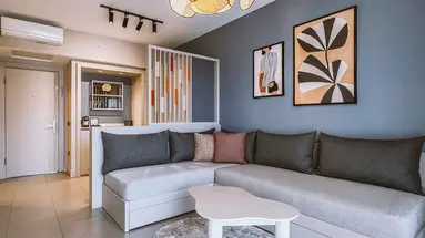 Barut Goia 