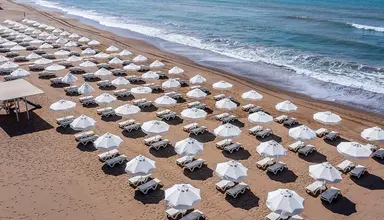 Barut Goia