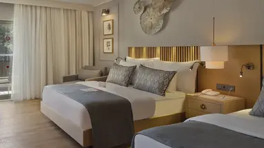 Barut Hemera