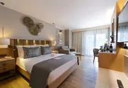 Barut Hemera