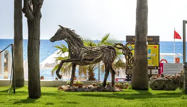 Barut Hemera