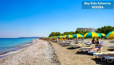 Bayside Katsaras