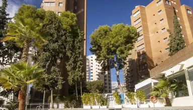 BCL Levante Club Aparthotel