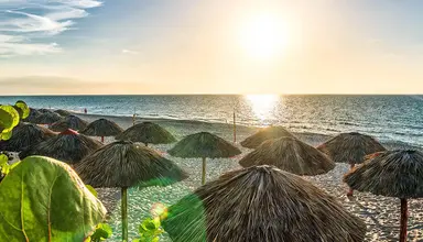 Be Live Turquesa