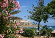 Beach Garden (St. Julians)