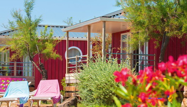 Beach Garden