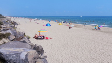 Beach Garden
