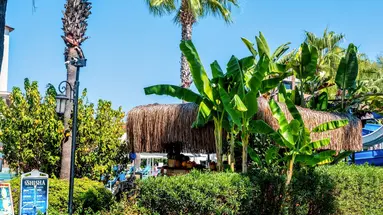 Bella Resort