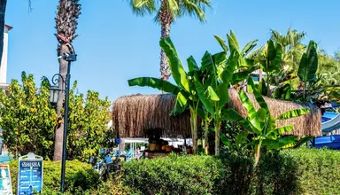Bella Resort