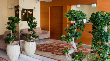 Bellevue Suites