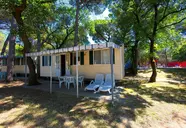 Belvedere Pineta