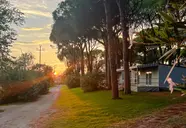 Belvedere Pineta
