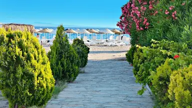 Bendis Beach