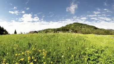 Bergresort Seefeld
