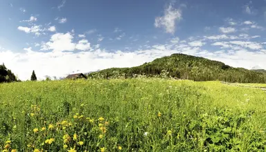 Bergresort Seefeld