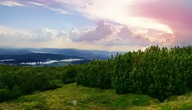 Beskid (Milówka)