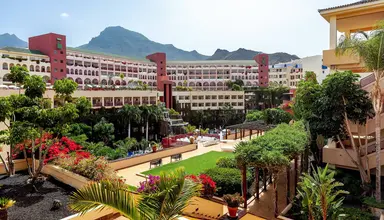 Best Jacaranda