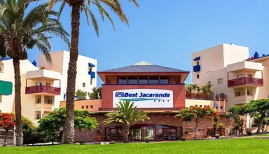 Best Jacaranda
