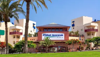 Best Jacaranda