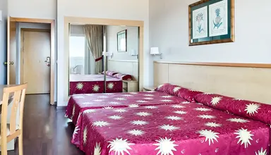 Best Oasis Tropical