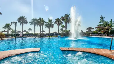 Best Oasis Tropical