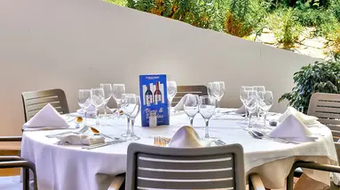 Best Oasis Tropical