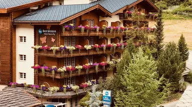 Best Western Butterfly