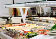 Best Western Plus Amedia Wien