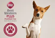Best Western Plus Premium Inn