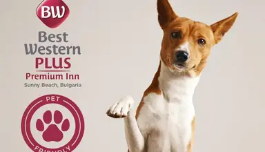 Best Western Plus Premium Inn