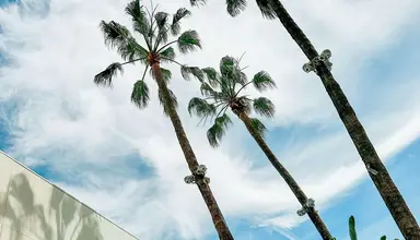 Beverly Hilton