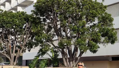 Beverly Hilton