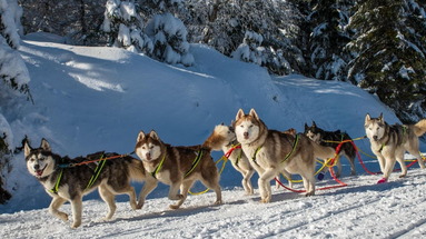 Biathlon Sport Spa