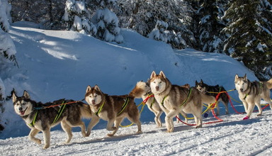 Biathlon Sport Spa