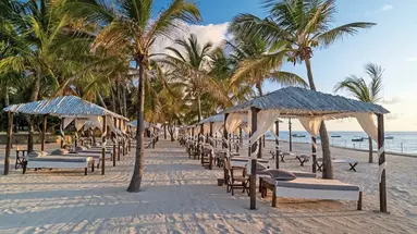 Billionaire Resort & Retreat